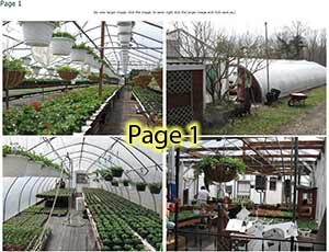 Page1