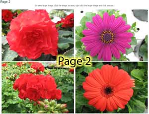 Page2