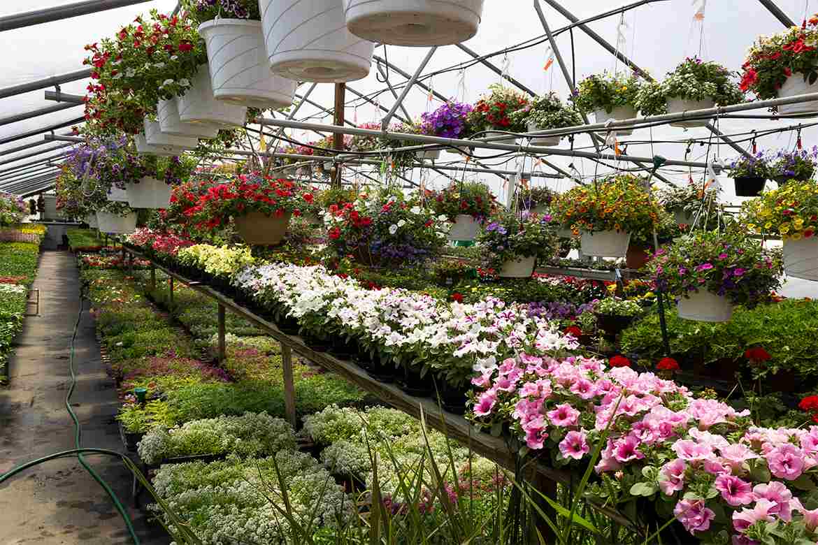 FREEHTML5.co Free HTML5 Template Bootstrap