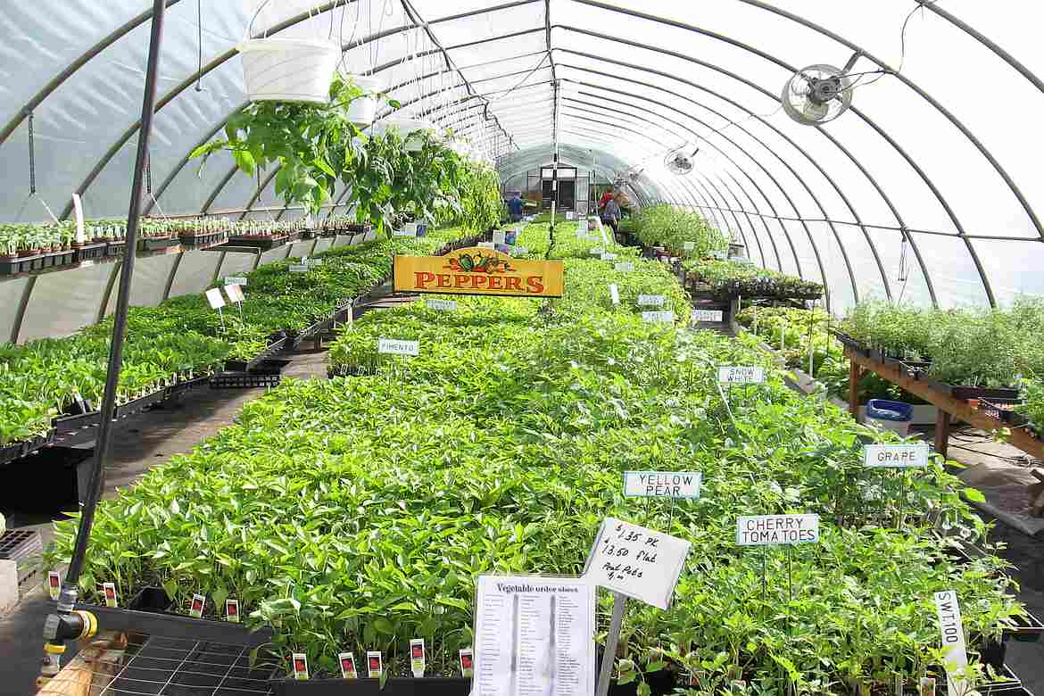 FREEHTML5.co Free HTML5 Template Bootstrap